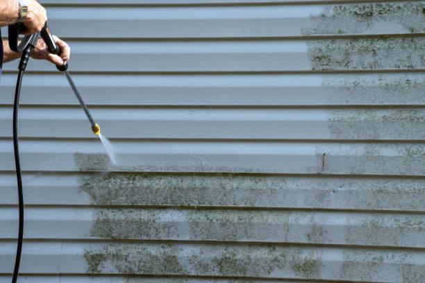 Best Property Management Cleanouts  in Port Salerno, FL